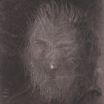 Miquel Barceló: Artist's Portfolio