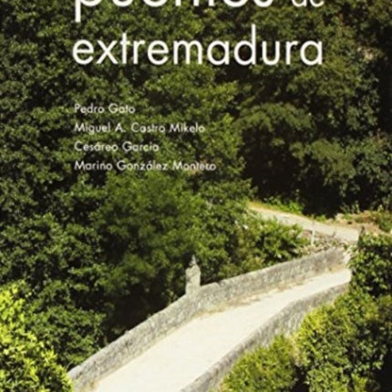 Puentes de Extremadura Spanish Edition