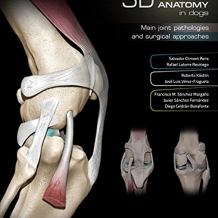 3D Joint Anatomy in Dogs. Main joint pathologies and surgical approaches