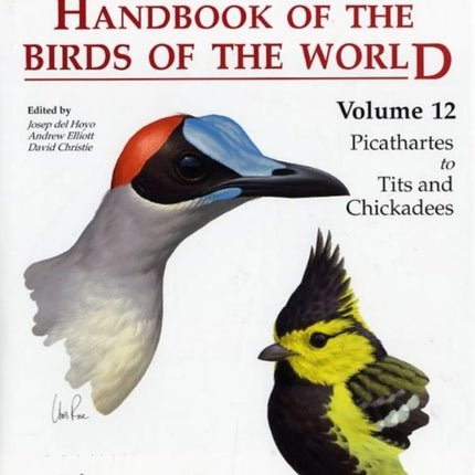 Handbook of the Birds of the World: v. 12: