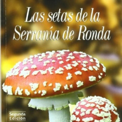 Las setas de la Serrana de Ronda
