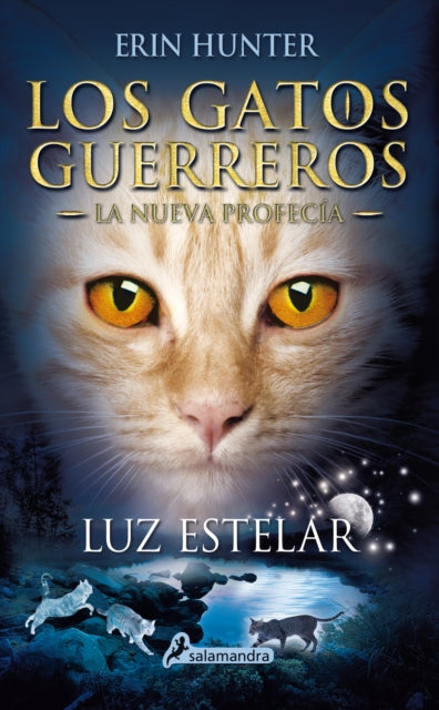 Luz estelar / Starlight