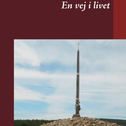 En vej i livet: ...min vandring på Camino de Santiago, Frances, 2003