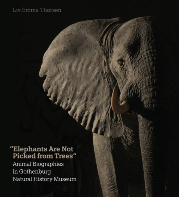 Elephants Are Not Picked from Trees: Animal Biographies in the Gothenburg Museum of Natural History