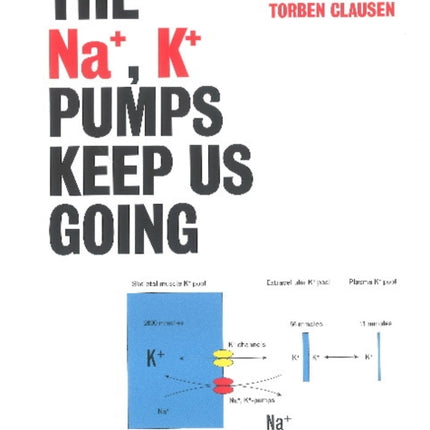 Na+, K+ Pumps Keep Us Going