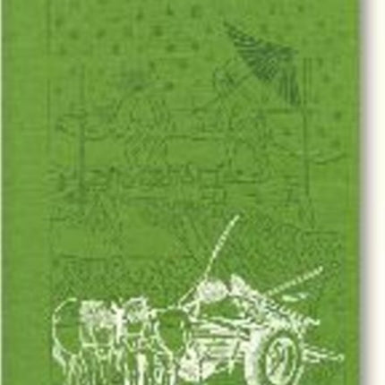 Remaking Peasant China: Problems of Rural Development & Institutions at the Start of the 1990s