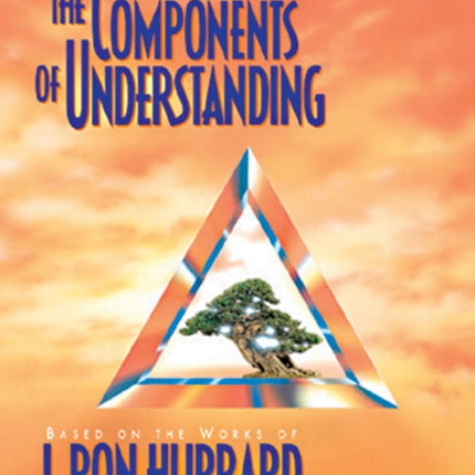 The Components of Understanding