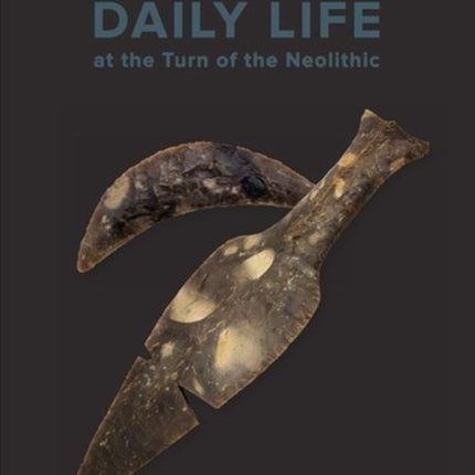 Daily Life at the Turn of the Neolithic: A comparative study of longhouses with sunken floors at Resengaard and nine other settlements in the Limfjord region, South Scandinavia