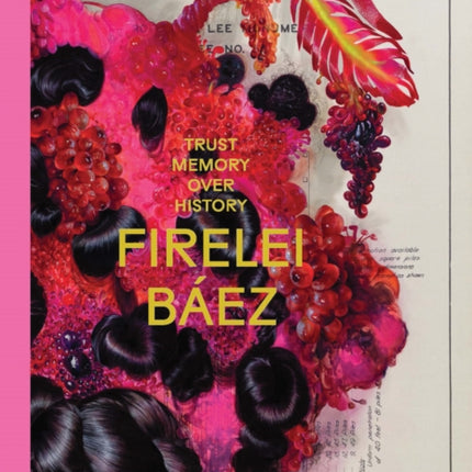 Firelei Báez Trust Memory Over History