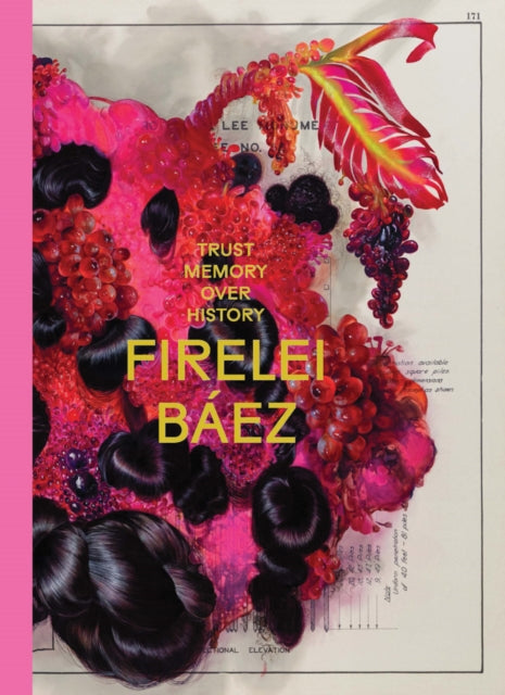 Firelei Báez Trust Memory Over History