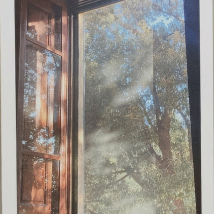 In Constant Hilarity