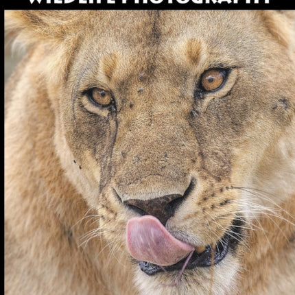 African Safari Wildlife Photography