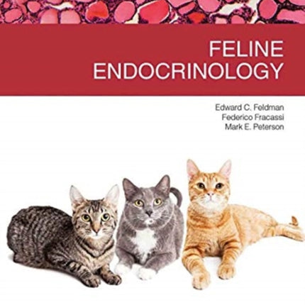 Feline endocrinology