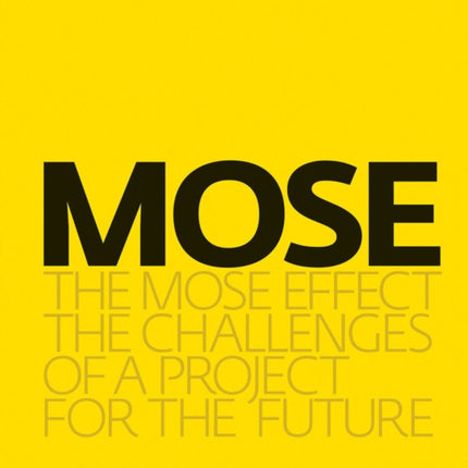 The MOSE Effect: The Challenges of a Project for the Future