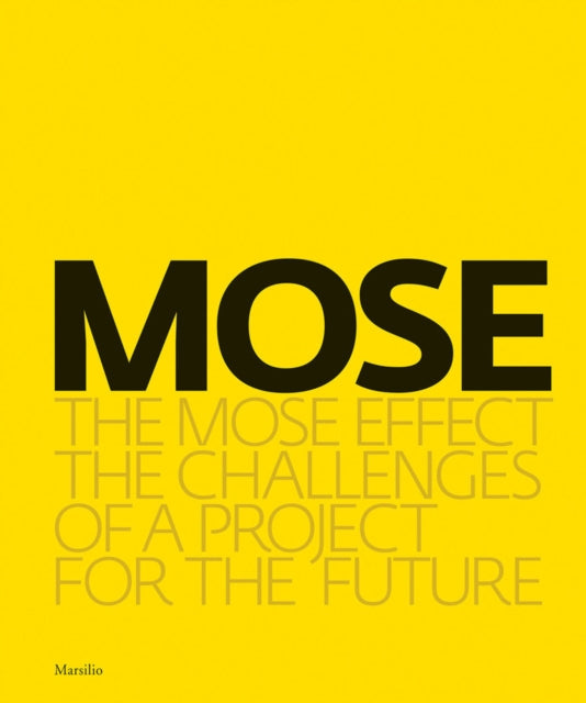 The MOSE Effect: The Challenges of a Project for the Future