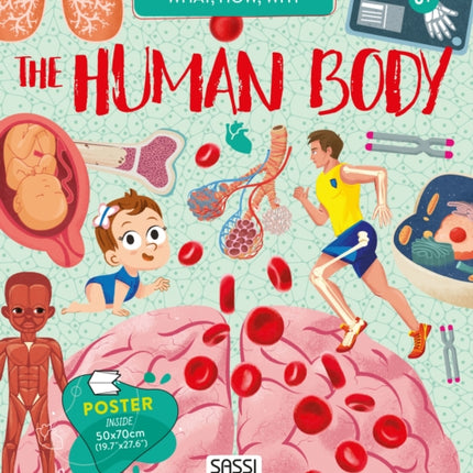 The Human Body