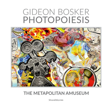 Gideon Bosker Photopoesis the Metapolitan Museum