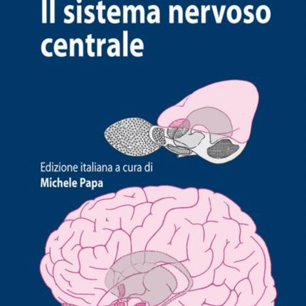 Il sistema nervoso centrale