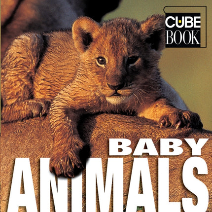 Baby Animals: Minicube