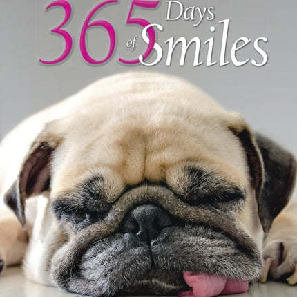 365 Days of Smiles