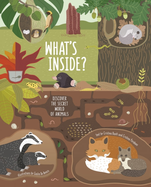 What's Inside? Discover the Secret World of Animals