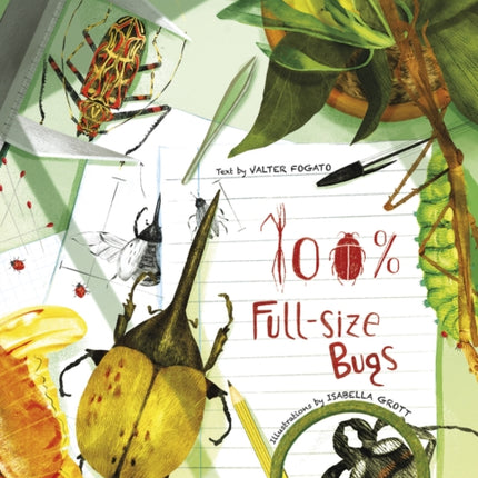 100% Full Size Bugs