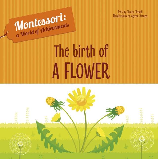 The Birth of a Flower: Montessori: A World of Achievements