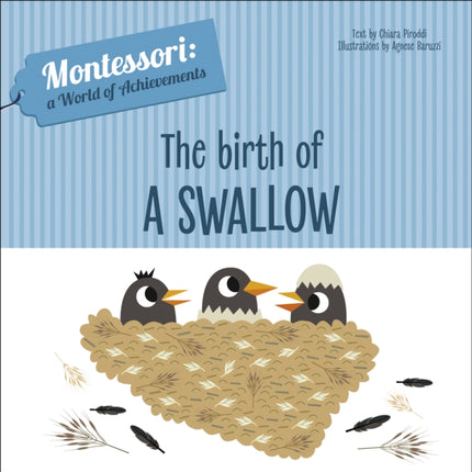 The Birth of a Swallow: Montessori: A World of Achievements