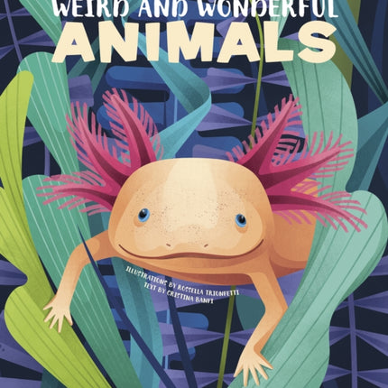 Weird and Wonderful Animals