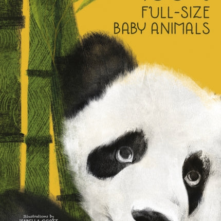 100% Full Size Baby Animals