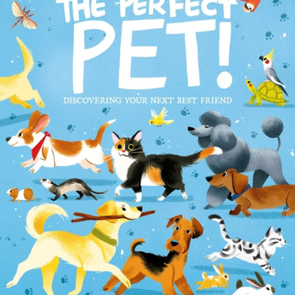 The Perfect Pet