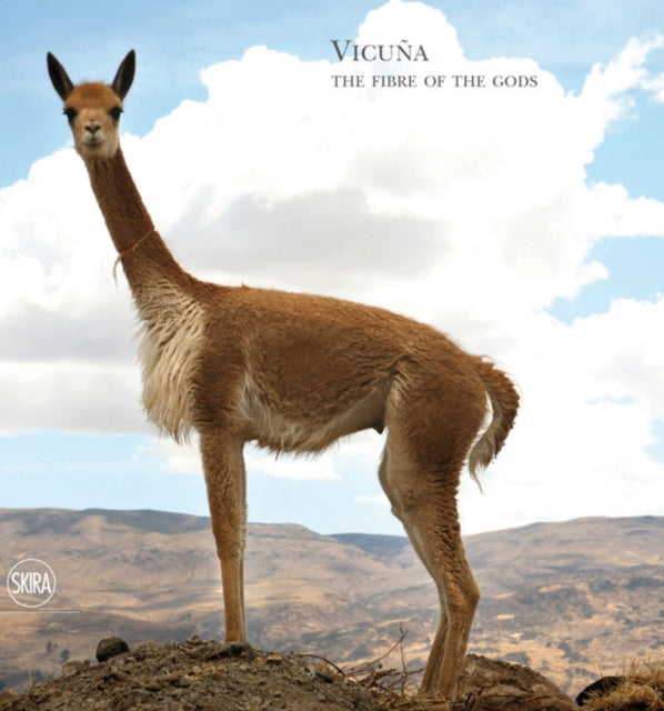 Vicuña: The Queen of the Andes