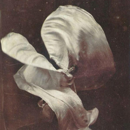 Body Stages: The Metamorphosis of Loïe Fuller