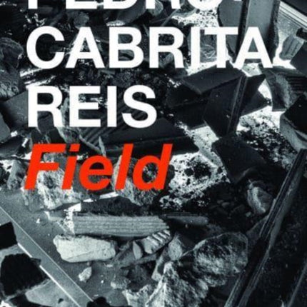 Pedro Cabrita Reis: Field