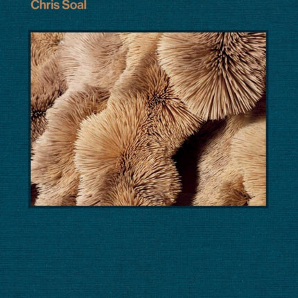 Chris Soal