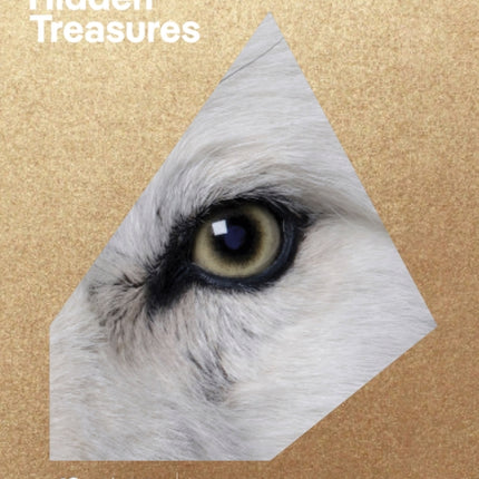 The Hidden Treasures of the Natural History Museum Abu Dhabi