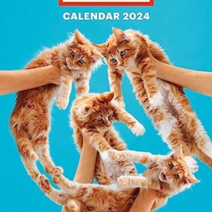 Toiletpaper Calendar 2024