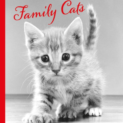 Walter Chandoha Family Cats From the Archive 19491962
