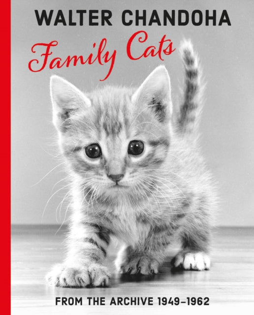 Walter Chandoha Family Cats From the Archive 19491962
