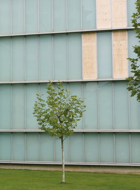 A Kassen Dimensions Variable