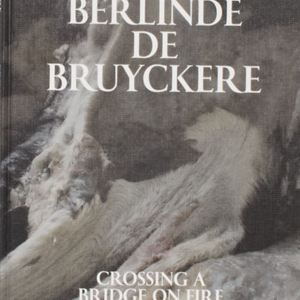 Berlinde De Bruyckere Crossing a Bridge on Fire
