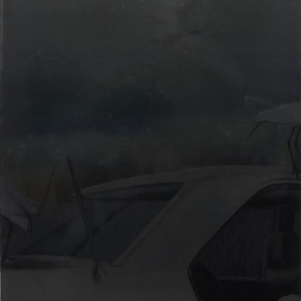 Louisa Gagliardi Many Moons