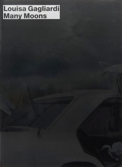 Louisa Gagliardi Many Moons