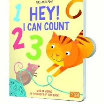 Hey! I Can Count