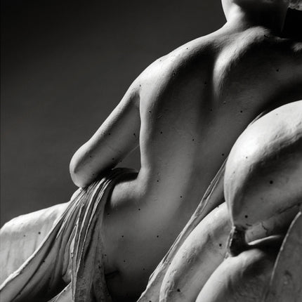 Canova: Four Tempos