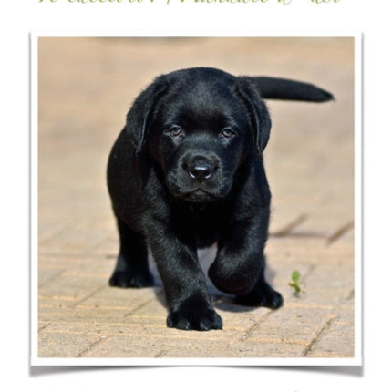 Il cucciolo: Manuale d'uso