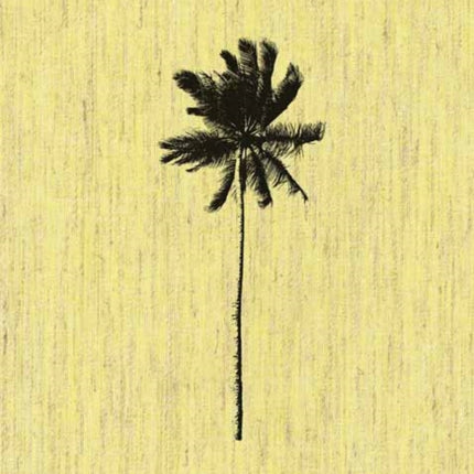 Decoding Palm Culture
