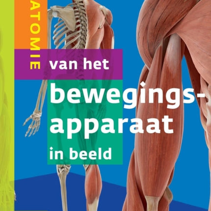 Anatomie Van Het Bewegingsapparaat in Beeld