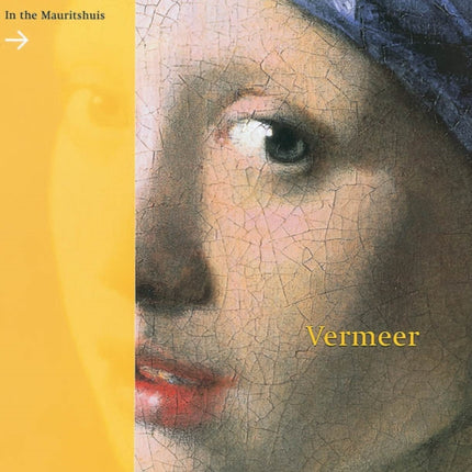 Vermeer in the Mauritshuis