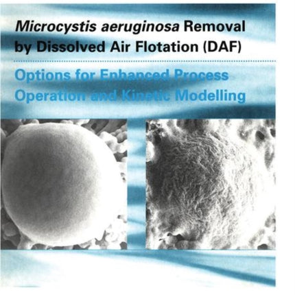 Microcystic Aeruginosa Removal by Dissolved Air Flotation (DAF)